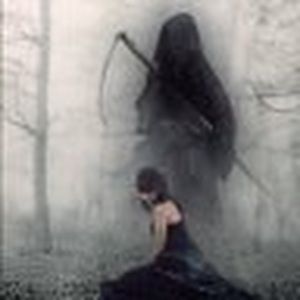 Meet your Posher, Elaine